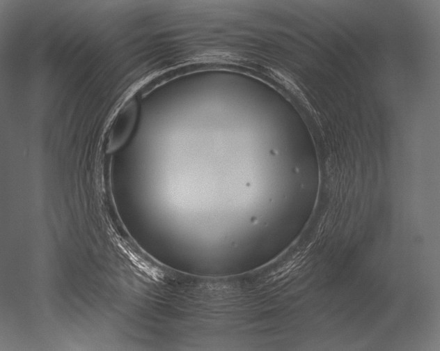 X0000051250931200507011648