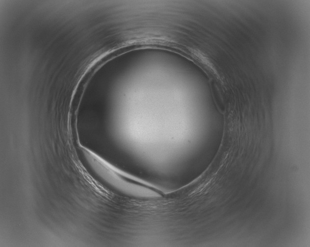 X0000051250932200507011648