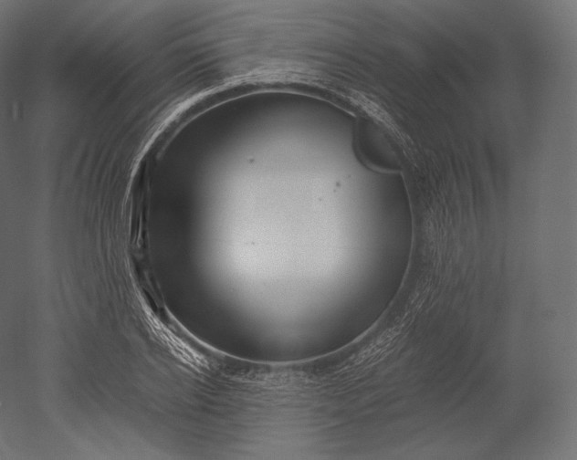 X0000051250934200507011648