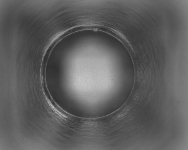 X0000051250935200507011648