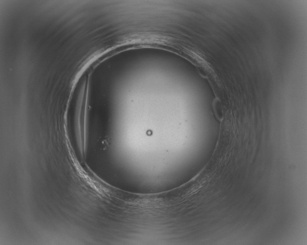 X0000051250936200507011648