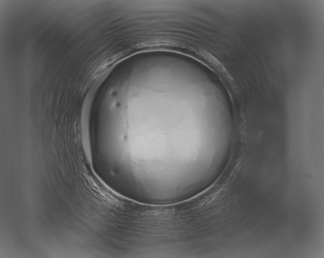 X0000051250937200507011648