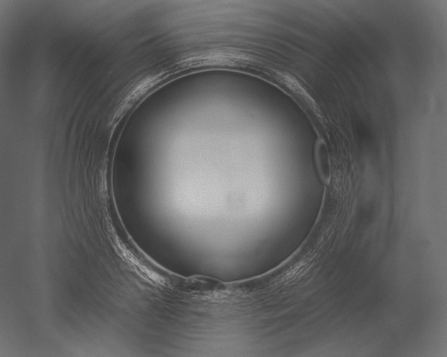 X0000051250938200507011648