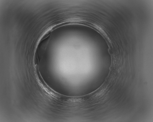 X0000051250939200507011648