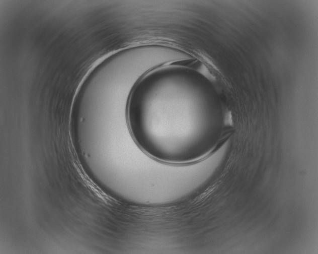 X0000051250940200507011648