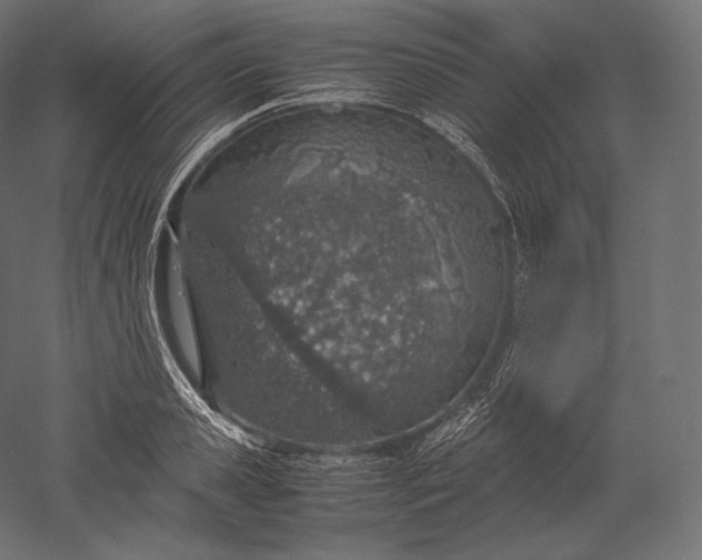 X0000051250941200507011648