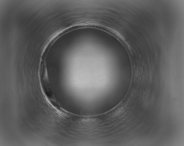 X0000051250943200507011648