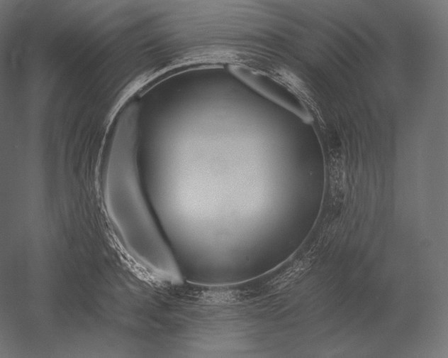 X0000051250944200507011649