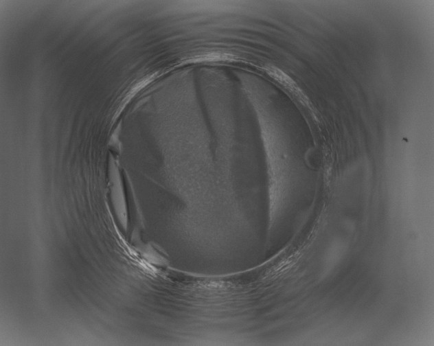 X0000051250945200507011649