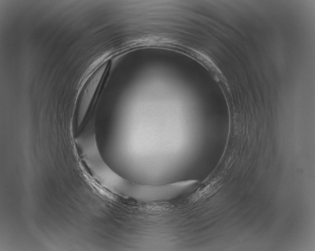 X0000051250946200507011649