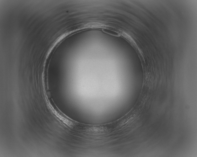 X0000051250947200507011649