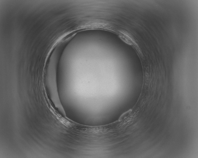 X0000051250948200507011649