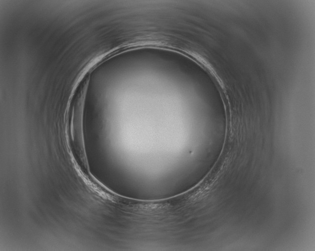 X0000051250949200507011649