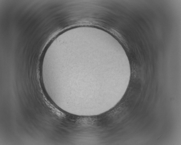 X0000051250950200507011649