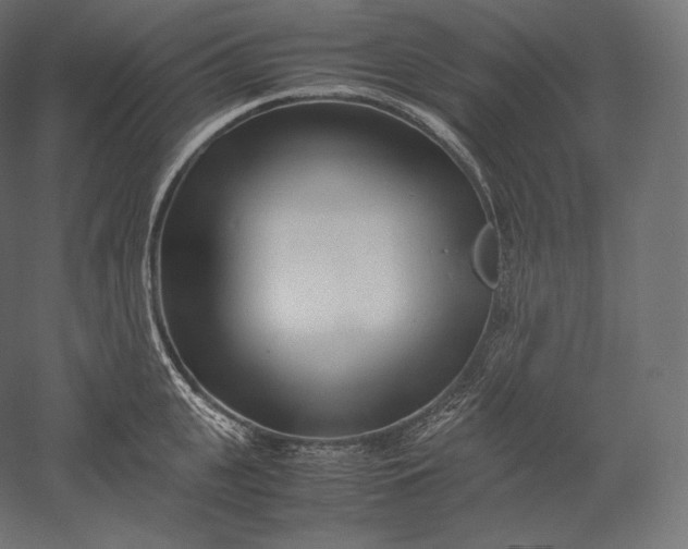 X0000051250951200507011649