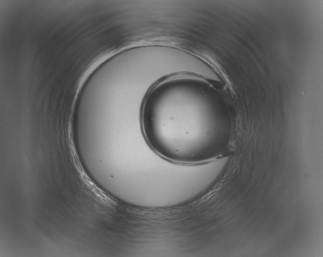 X0000051250952200507011649