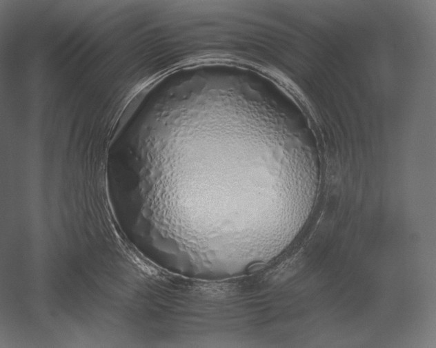 X0000051250953200507011649