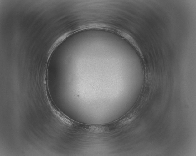 X0000051250954200507011649