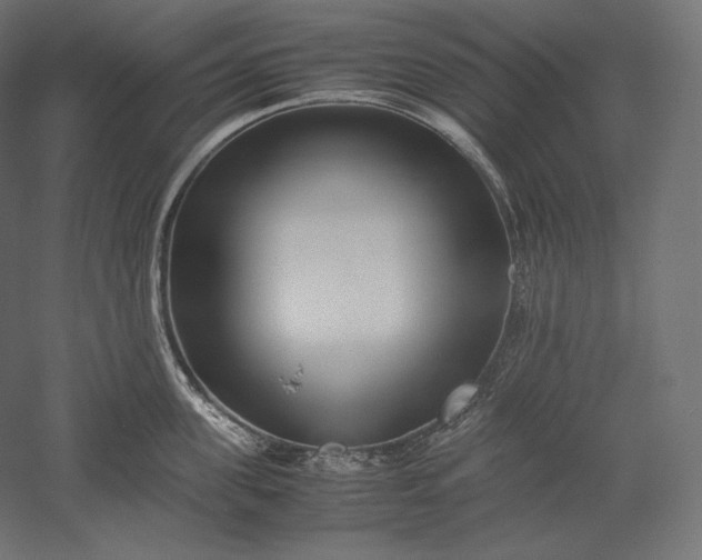 X0000051250955200507011649