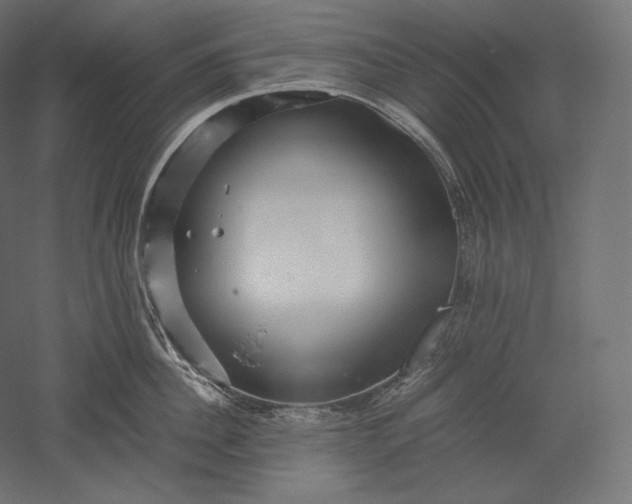 X0000051250956200507011649