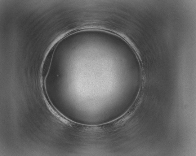 X0000051250957200507011649