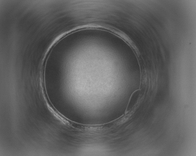 X0000051250958200507011649