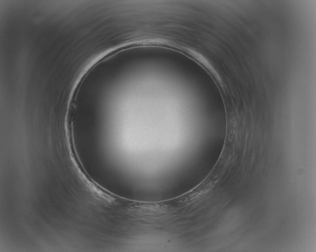 X0000051250959200507011649