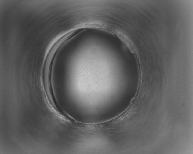 X0000051250960200507011649