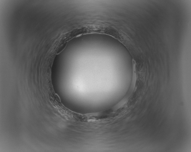 X0000051250961200507011648