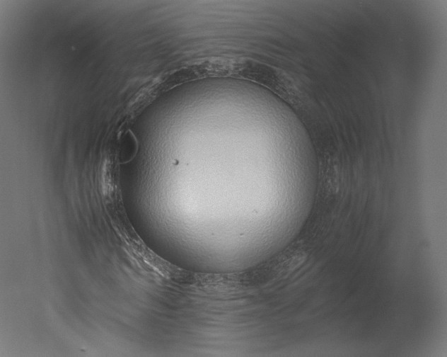 X0000051250962200507011648