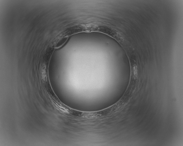 X0000051250963200507011648