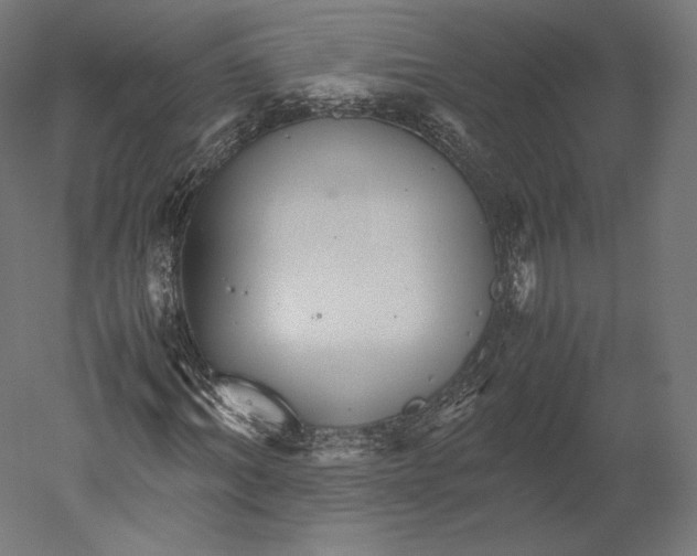 X0000051250964200507011648