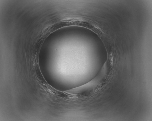 X0000051250965200507011648