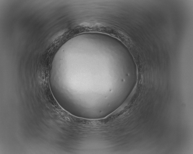 X0000051250966200507011648