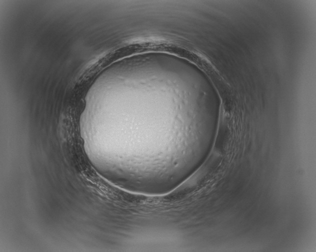 X0000051250967200507011648