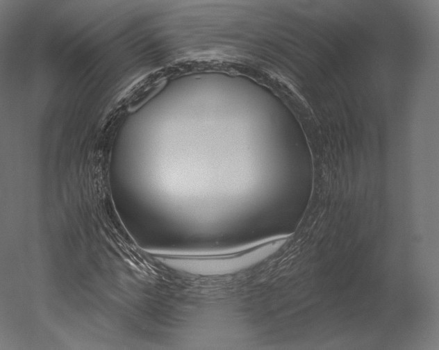 X0000051250968200507011648