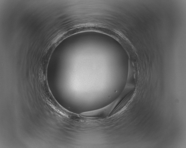 X0000051250969200507011648