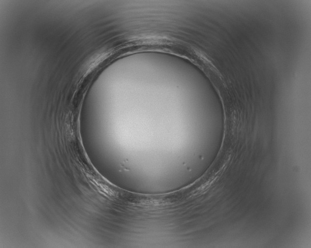 X0000051250970200507011648