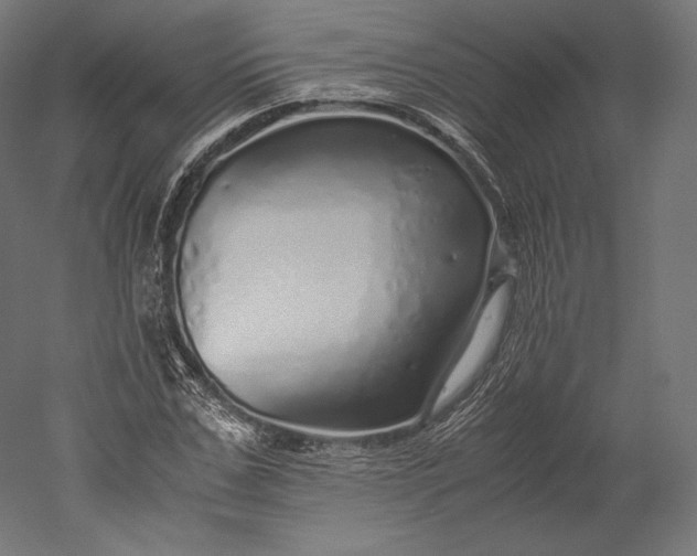 X0000051250971200507011648