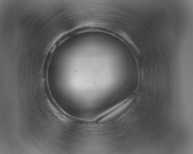 X0000051250972200507011648