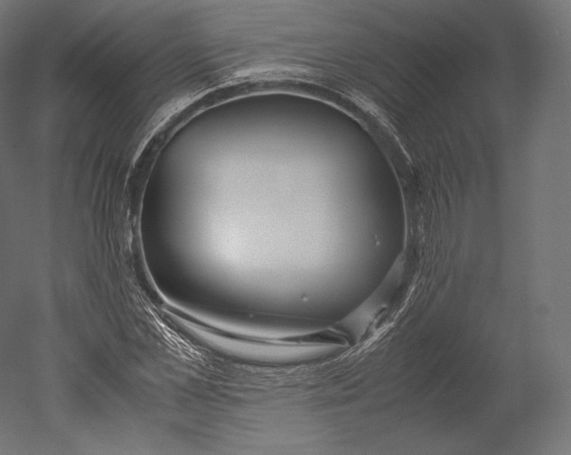 X0000051250973200507011648