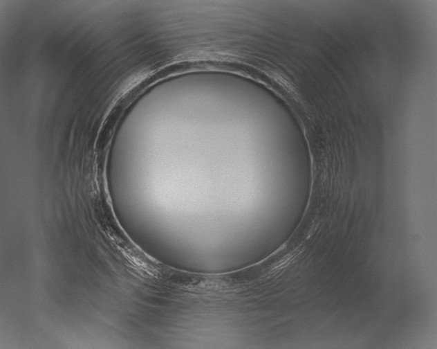 X0000051250974200507011648