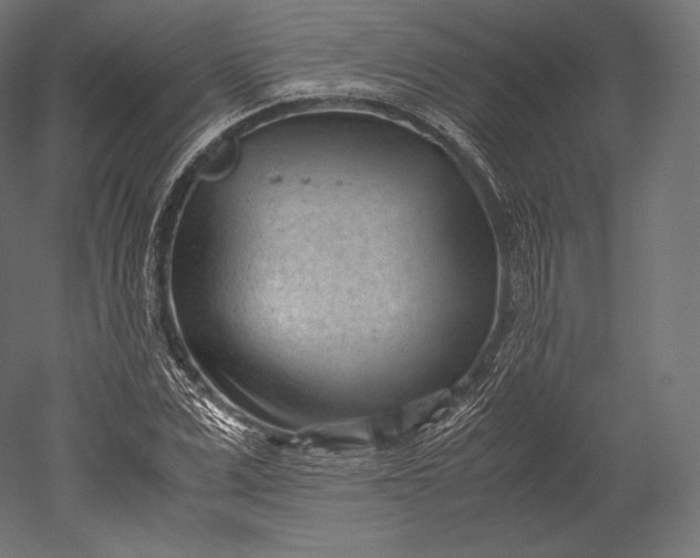 X0000051250975200507011648