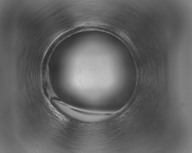 X0000051250976200507011648