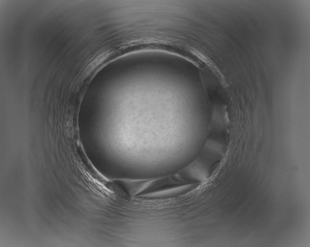 X0000051250977200507011648