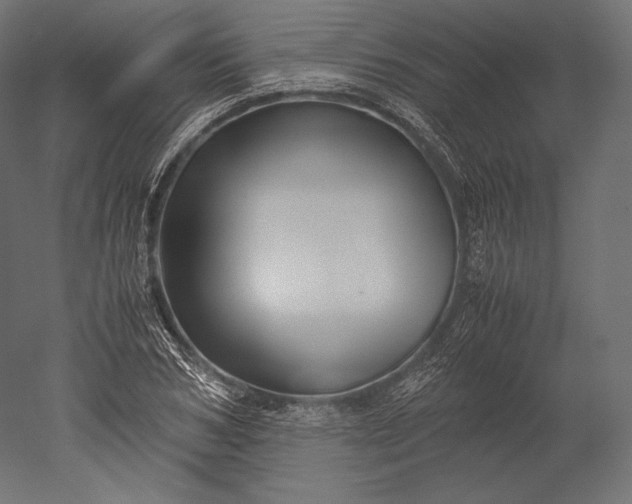 X0000051250978200507011648