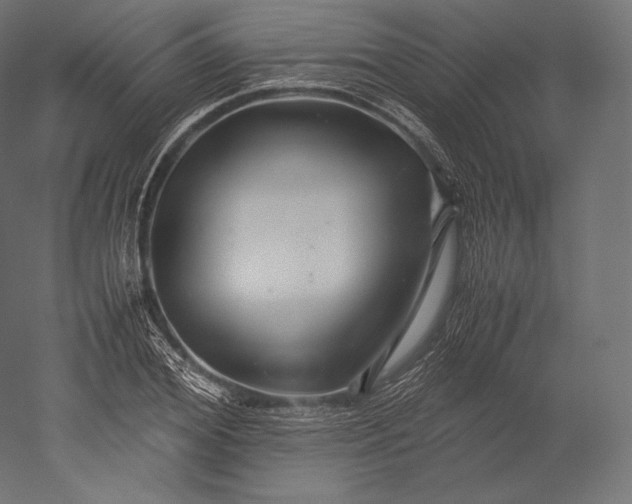 X0000051250980200507011648