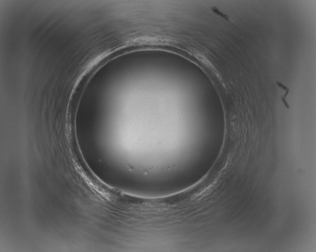 X0000051250981200507011648