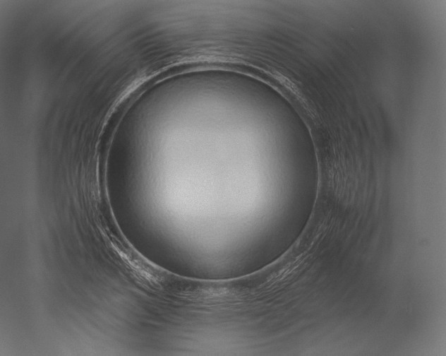 X0000051250982200507011648