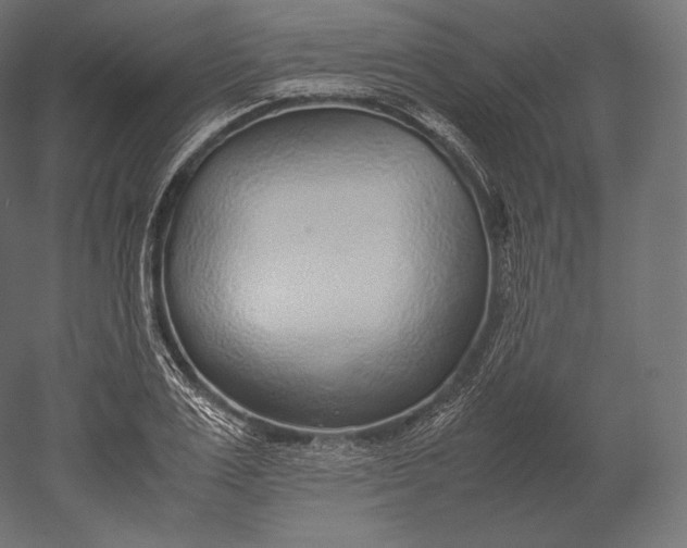 X0000051250983200507011648